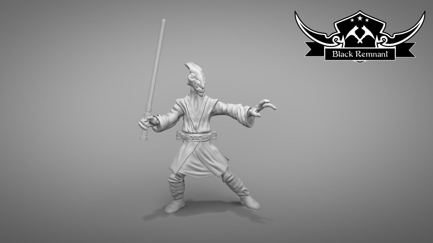 Mystical Warrior - 28mm - 40mm Scale | Star Wars Legion Mini