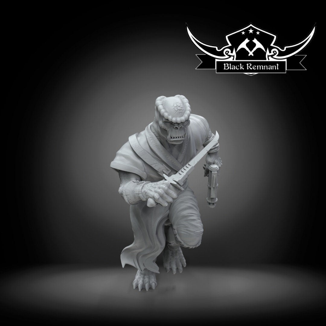 Bodyguard of the Blue Admiral - 28mm - 40mm Scale | DnD | Star Wars Legion Mini