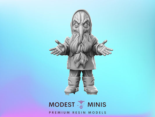 LOTR Dalin Dwarf - 32mm Scale DnD Miniature | Dungeons and Dragons | Classic JRPG Mini - RN Estudio