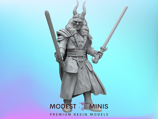 A 3D model of a warrior figure holding two swords, with a serious expression on their face.