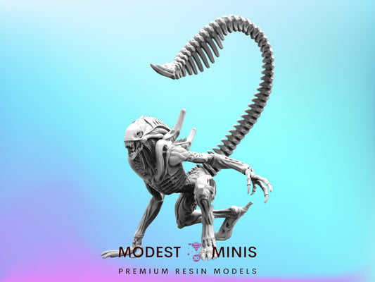 Xeno Warrior E - Resin 3D Print Alien Miniature | RPG | Sci fi | Cyberpunk | Role Playing | DnD | Papsikel