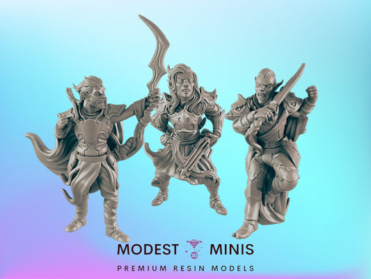 3pc Dark Elf Set | 25mm - 100mm Scale | DnD | EC3D Fantasy Mini | Beasts and Baddies