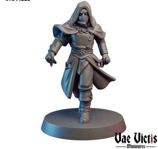 Rogue | 28mm - 75mm Scale | DnD Frostgrave Mini | Vae Victis Fantasy