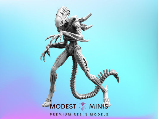 Xeno Warrior C - Resin 3D Print Alien Miniature | RPG | Sci fi | Cyberpunk | Role Playing | DnD | Papsikel