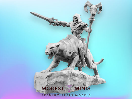 Skulldor on Catroar - 32mm Scale DnD Miniature | Dungeons and Dragons | 80's Fantasy Mini - RN Estudio