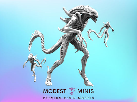 Xeno Warrior A - Resin 3D Print Alien Miniature | RPG | Sci fi | Cyberpunk | Role Playing | DnD | Papsikel