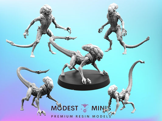 Xeno Burster - 28mm 32mm Scale Alien Miniature | RPG | Sci fi | Cyberpunk | Role Playing | DnD | Papsikel