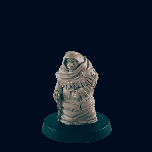 NPC Human Woman Grandmother - 25mm - 75mm Scale | DnD | EC3D Fantasy Mini | Townsfolk