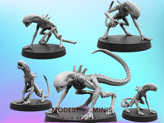 Adolescent Xeno | 28mm - 75mm Scale Aliens Miniature | Papsikel