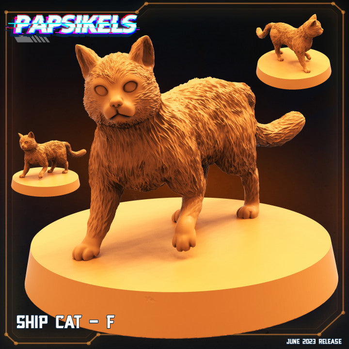 Ship Cats Set - 32mm Scale Miniature | RPG | Sci fi | Papsikels
