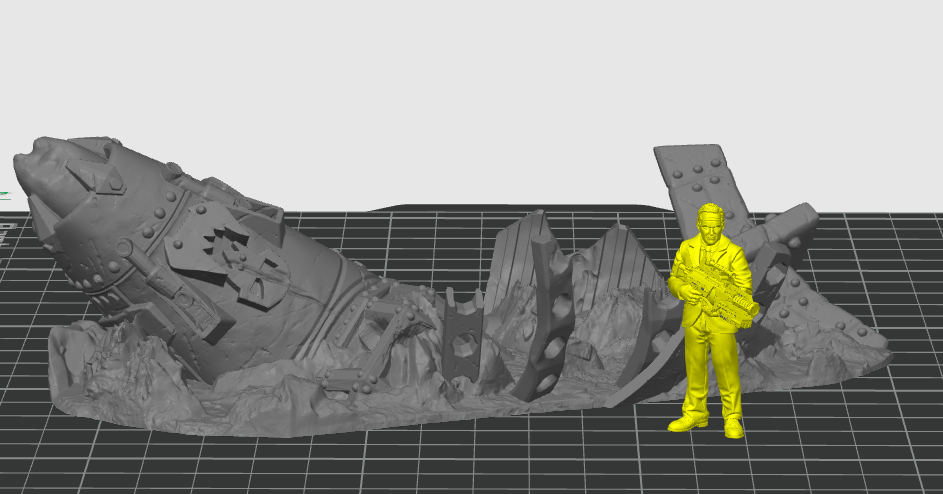 Crashed Plane Debris