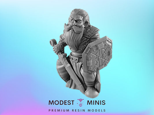 Paladin Dwarf Male | 25mm - 75mm Scale | DnD | EC3D Fantasy Mini | Everyday Heroes