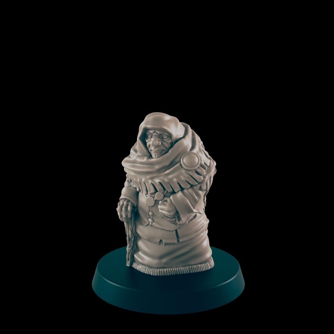 Young to Old Family | 25mm - 100mm Scale | DnD | EC3D Fantasy Mini | Everyday Folk