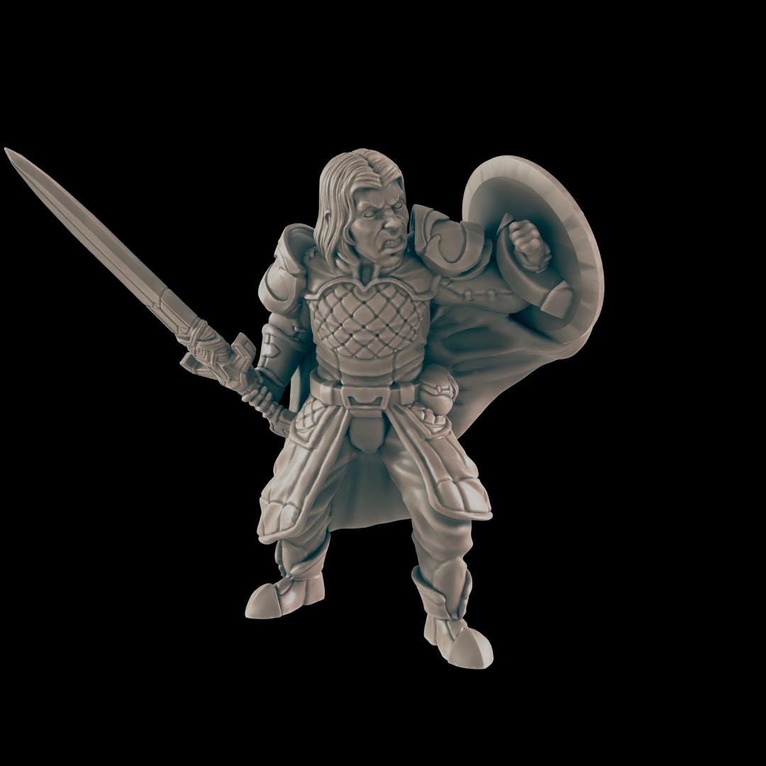 Fighter Heroes | 25mm - 100mm Scale | DnD | EC3D Fantasy Mini | Everyday Heroes