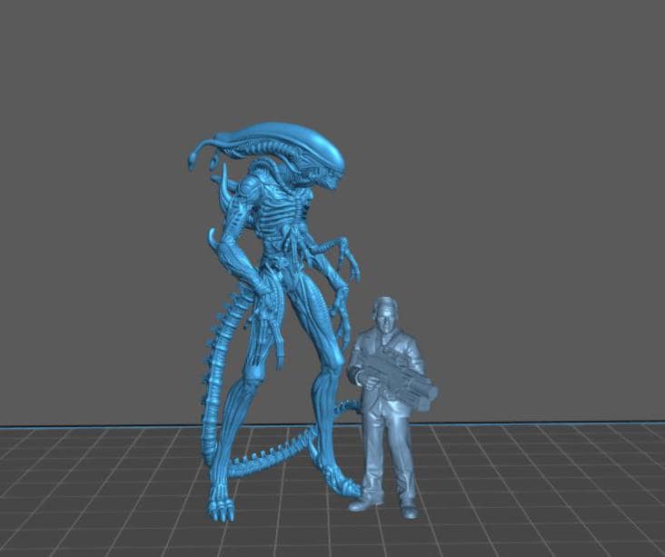 Xeno Navi - 32mm Scale Alien Miniature | RPG | Sci fi | Cyberpunk | Role Playing | DnD | Papsikel
