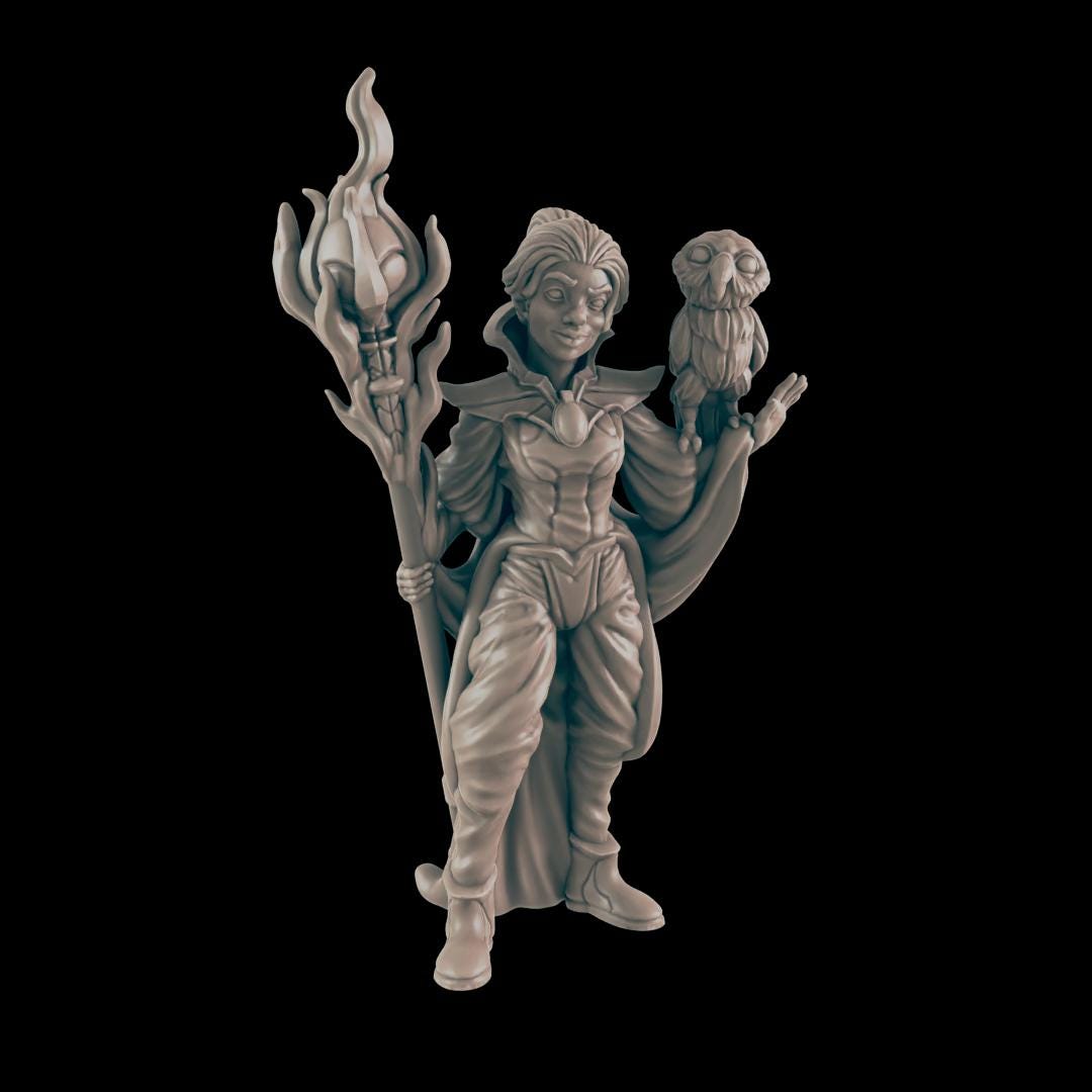 Warlock Heroes  | 25mm - 100mm Scale | DnD | EC3D Fantasy Mini | Everyday Heroes
