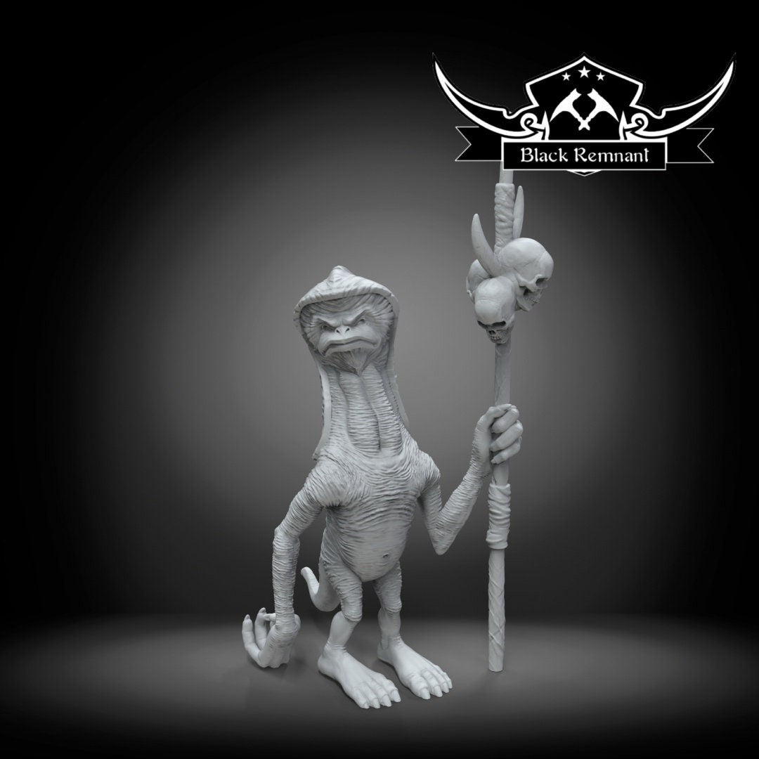 Savage Bounty Hunter - 28mm - 40mm Scale | DnD | Star Wars Legion Mini