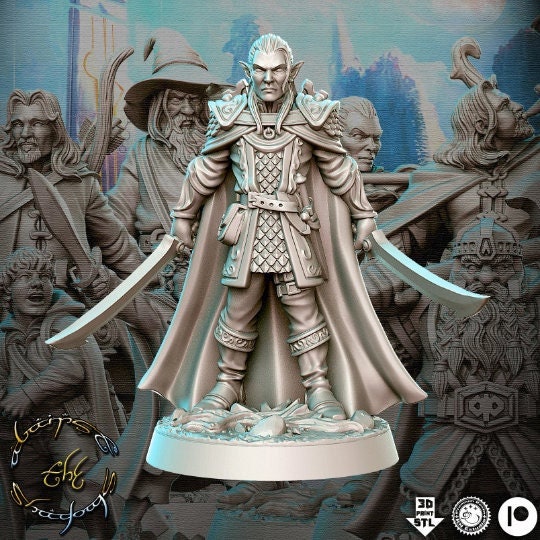 Elf Warrior Evendill - 32mm Scale DnD Miniature | Dungeons and Dragons | JRPG Mini - RN Estudio