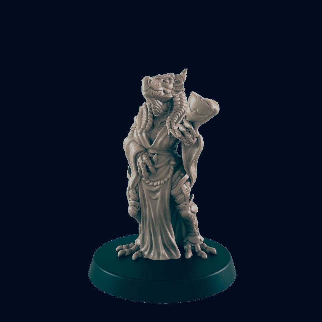 NPC Dragonborn Female Noble - 25mm - 75mm Scale | DnD | EC3D Fantasy Mini | Townsfolk