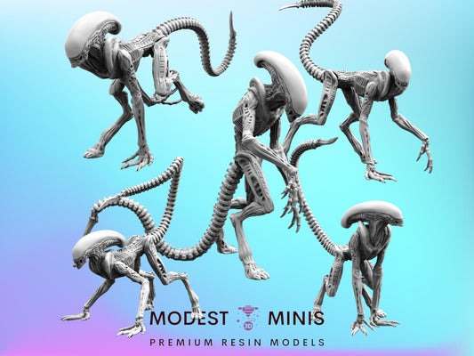 Xeno Runner A-E - 32mm Scale Alien Miniature | RPG | Sci fi | Cyberpunk | Role Playing | DnD | Papsikel